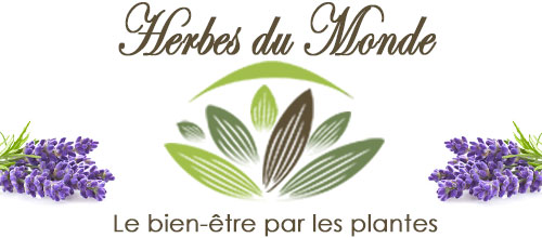 Blog Herbes du Monde